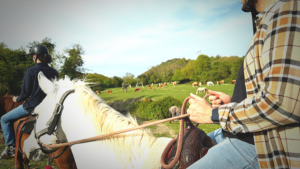 Passeggiate a cavallo nel Parco di Veio