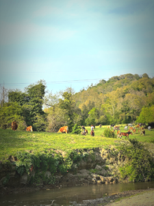 Passeggiate a cavallo nel Parco di Veio